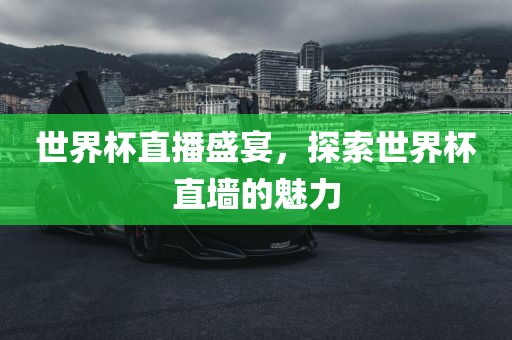 世界杯直播盛宴，探索世界杯直墙的魅力