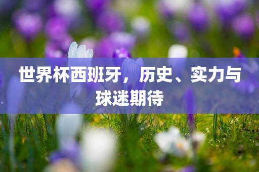 世界杯西班牙，历史、实力与球迷期待