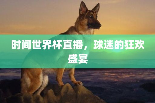 时间世界杯直播，球迷的狂欢盛宴