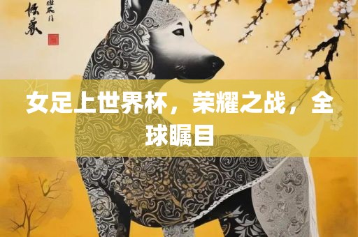 女足上世界杯，荣耀之战，全球瞩目