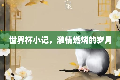 世界杯小记，激情燃烧的岁月
