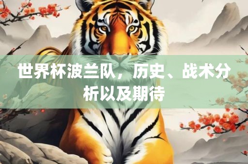 世界杯波兰队，历史、战术分析以及期待