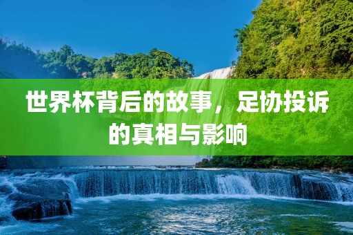 世界杯背后的故事，足协投诉的真相与影响