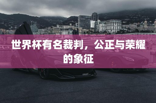 世界杯有名裁判，公正与荣耀的象征