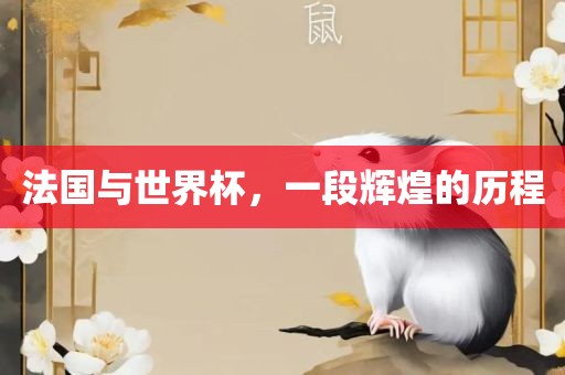 法国与世界杯，一段辉煌的历程