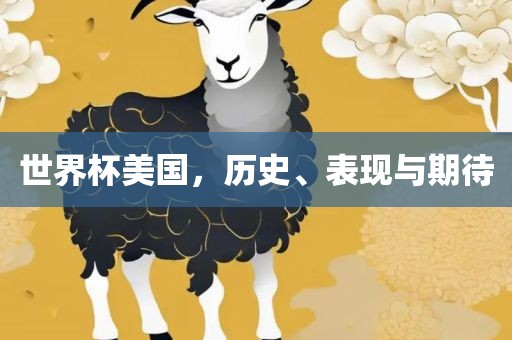 世界杯美国，历史、表现与期待