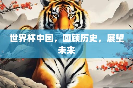 世界杯中国，回顾历史，展望未来