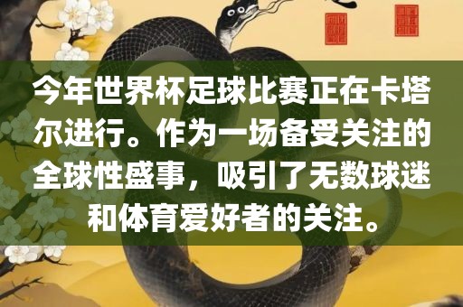 今年世界杯足球比赛正在卡塔尔进行。作为一场备受关注的全球性盛事，吸引了无数球迷和体育爱好者的关注。