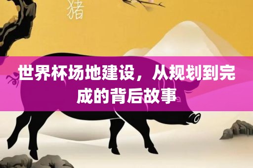 世界杯场地建设，从规划到完成的背后故事